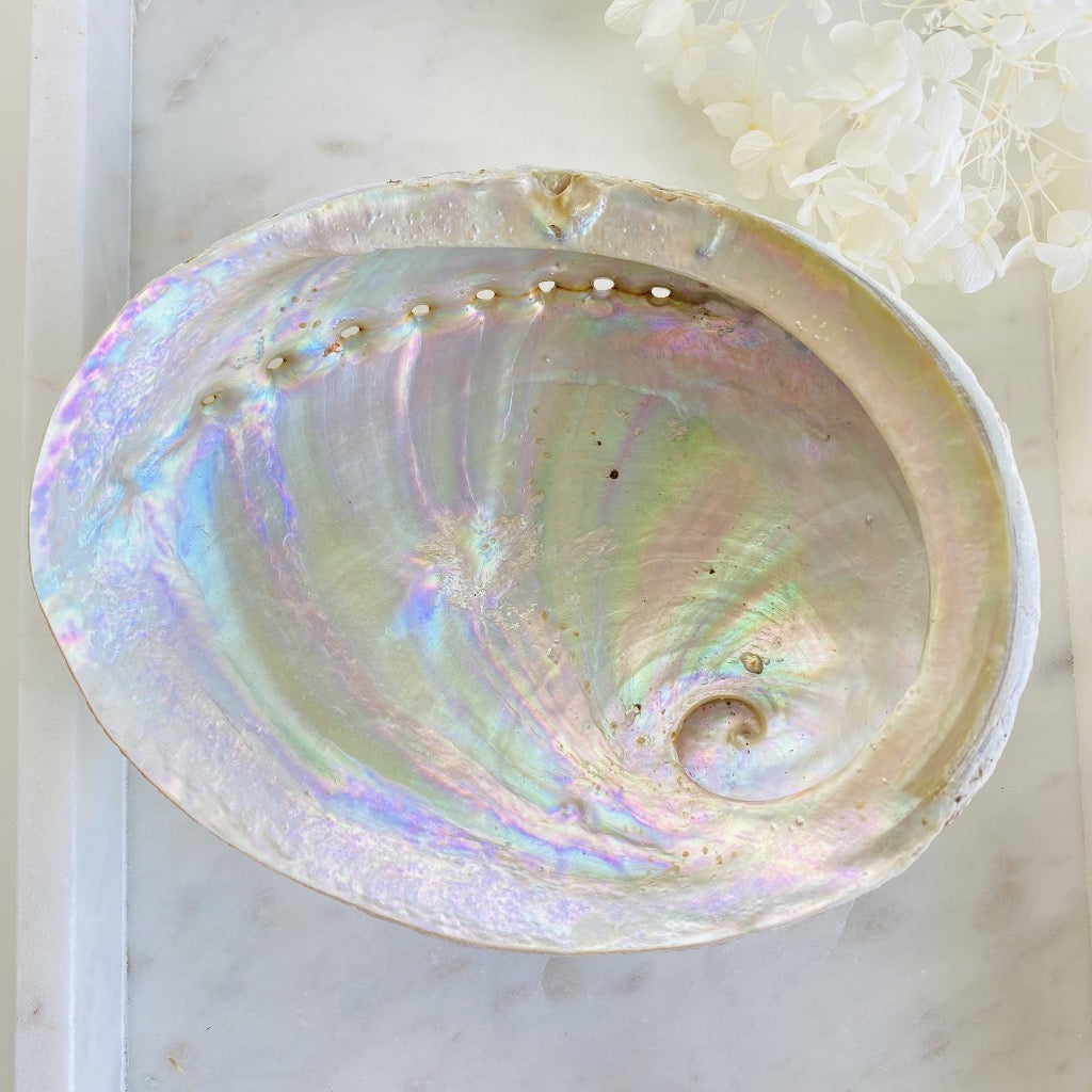 Large Natural Abalone Shell Cleansing Dish Australia