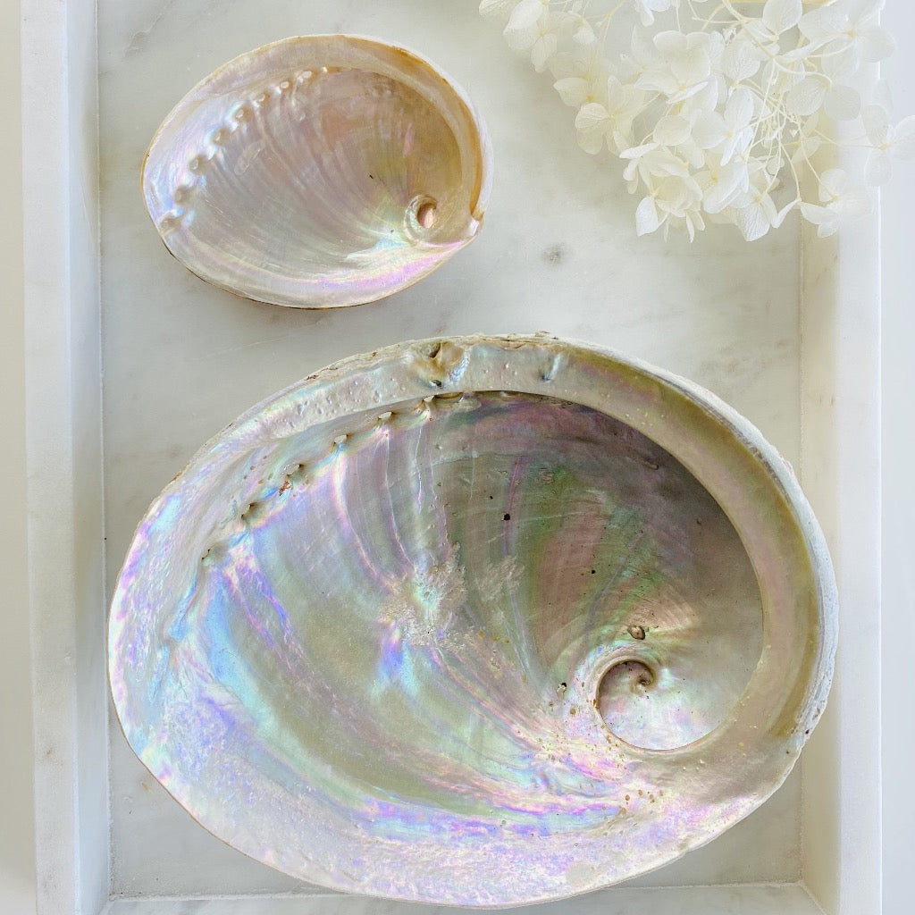 Abalone Shells Australia Cleanse Kits