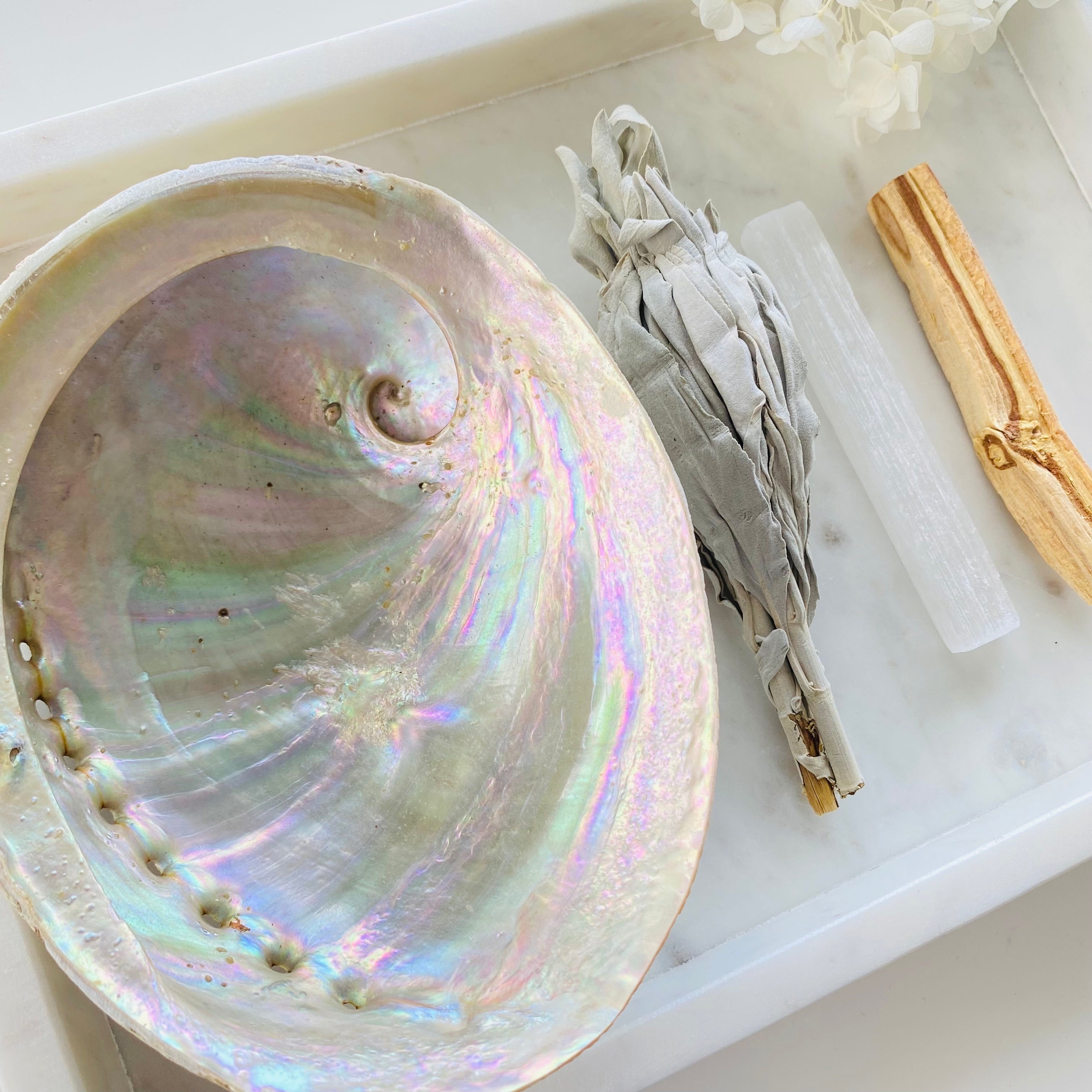 Abalone Shell Smudge Cleanse Kit Australia