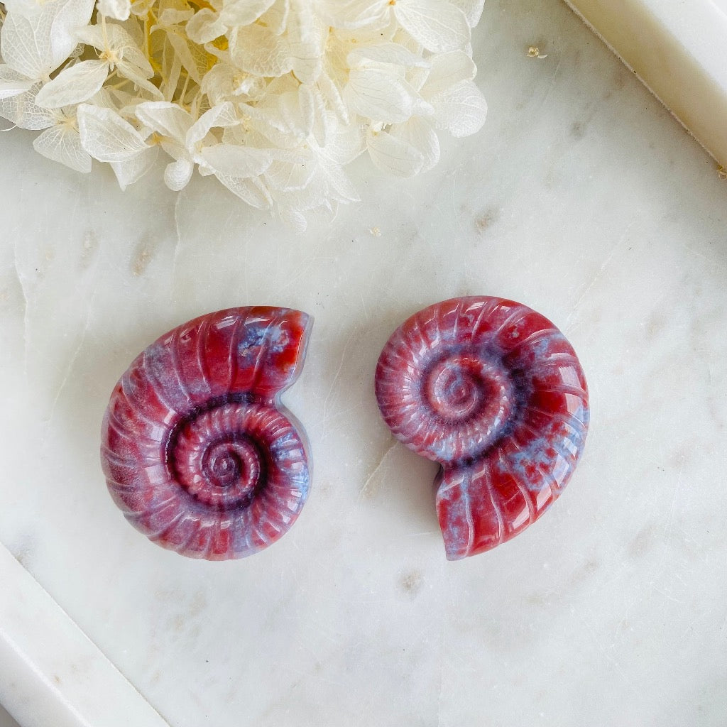 Ocean Jasper Ammonite Carving