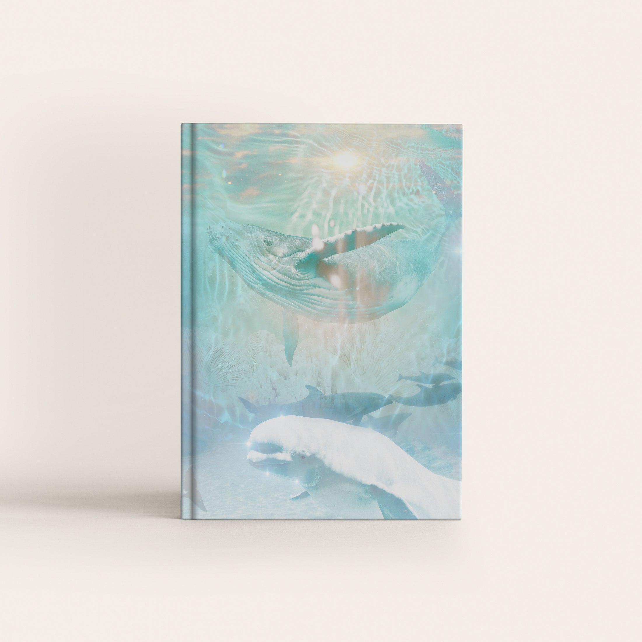 Danielle Noel Whale Image Journal Australia